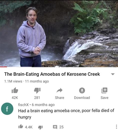 The Brain-Eating Amoebas of Kerosene Creek are Out to Get Us!! : r/Sufjan