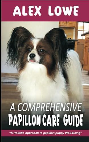 The Enchanting Papillon Dog: A Comprehensive Guide