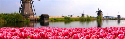 Holiday Accommodation & Lettings in Amstelveen from 3.458 ₹ | HomeToGo