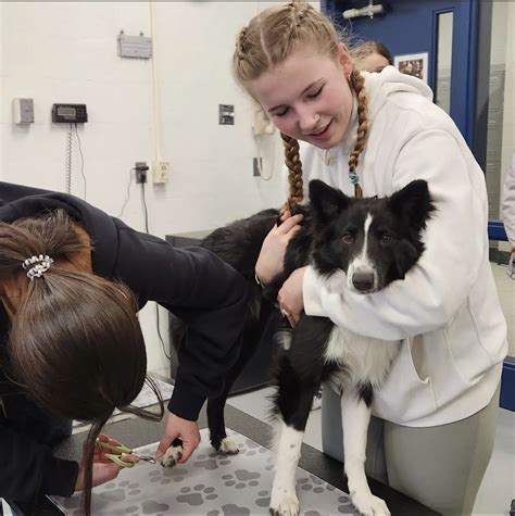 What Does Being in the FFA Mean to You? – NHS Chief Advocate