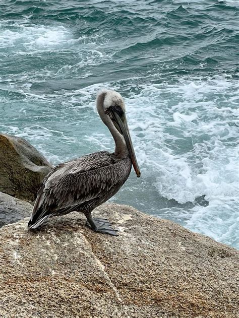 Sea Map 的图像结果