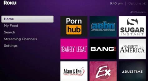 How to Find (and Add) Porn Channels to Your Roku - BoodiGoGo News and ...