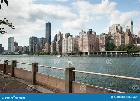 View on East River and Manhattan`s Midtown Skyscrapers from Roosevelt ...