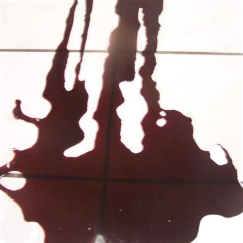 Ice Cubes Float Around In Pool Of Their Own Blood at Adriana Fishburn blog