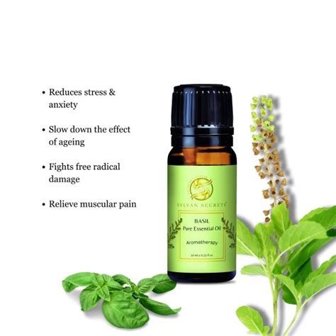 Basil Pure Essential Oil