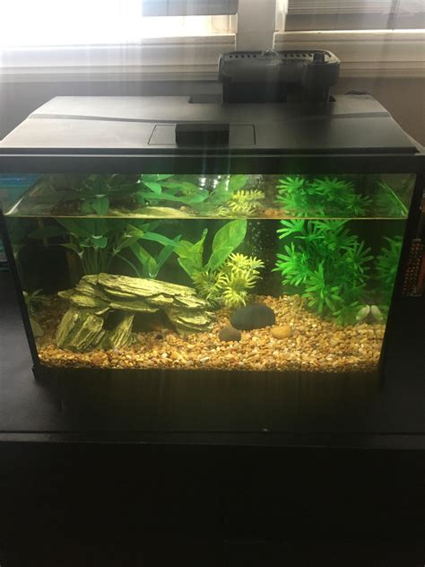 Cool 5 Gallon Fish Tank Ideas at Phoebe Hercus blog