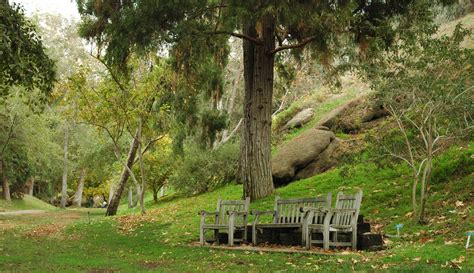 UC Riverside Botanical Garden | Explore | Metrolink