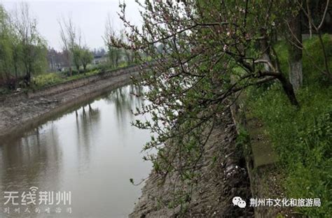 湖北荆州：引江济汉工程长江取水口护坡加固-人民图片网