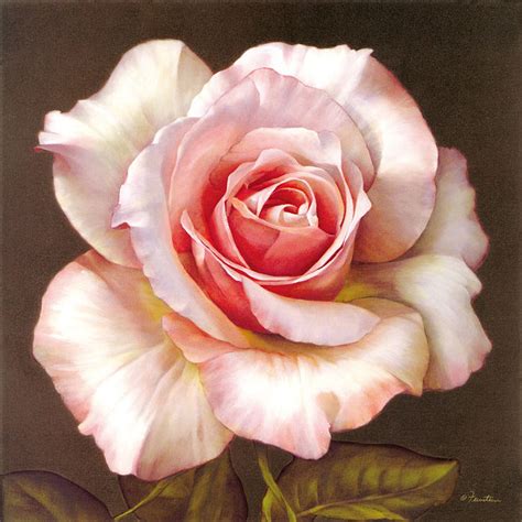 油画玫瑰花设计元素素材免费下载(图片编号:1497936)-六图网
