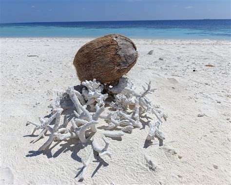 ANFRADORA LODGE (Keyodhoo Island) - Hotel Reviews & Photos - Tripadvisor