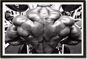 Framed Muscular Back View Body Builder Paper Print - Personalities ...