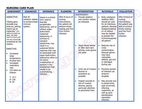 Nanda Nursing Diagnosis List Infection