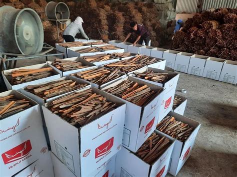 Dry Fruits - California Almond Nuts Exporter from Chennai