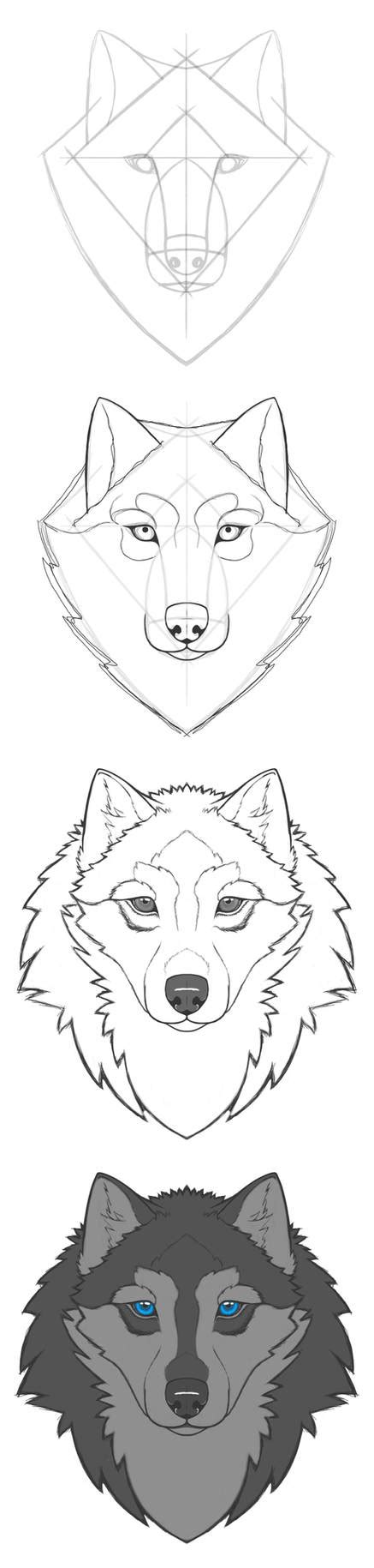 Image result for Wolf Tutorial