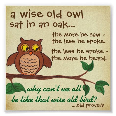 Quotes About Owls Being Wise at Sharon Cordero blog