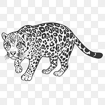 Image result for Prime in Java