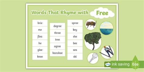 Words That Rhyme with Word Mat