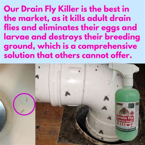 KILLit Drain Fly Killer (1000% Eliminate Infestation, Not Just Killing ...