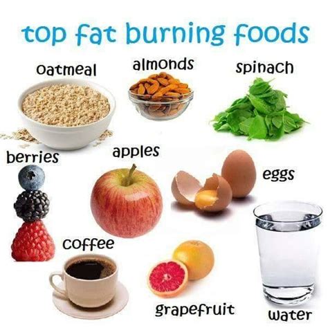 Bildergebnis für foods to lose weight easily