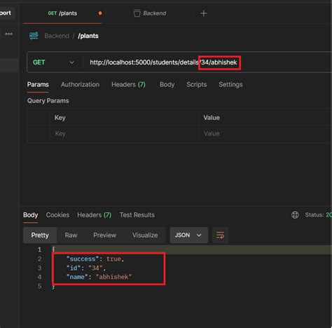 API Programming Express 的图像结果