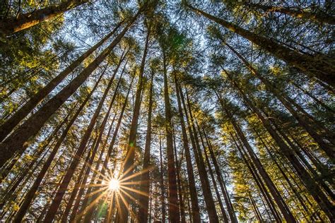 Photo Of The Day: Sun-kissed