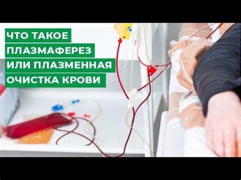 Чистка крови: показания, противопоказания, способы и средства