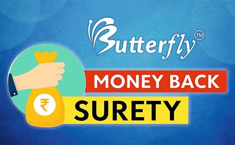 bbutterfly Silver Leakproof Concealed Nano 80 GPD 2000TDS RO Membrane ...