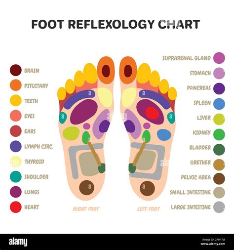 What Is Massage Therapy And Reflexology at Janice Gardiner blog