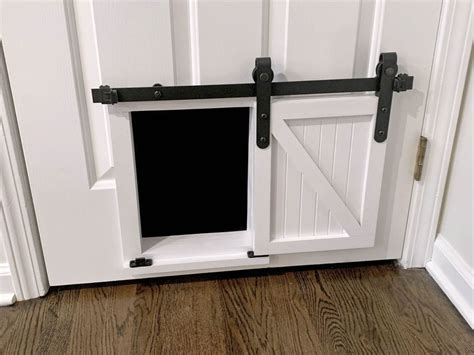 20+ Cute and Creative Interior Cat Door Ideas - Whiskers Magoo | Pet ...