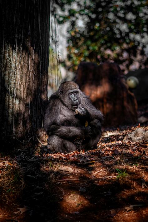 Billie+Eilish+Yungblud+Billboard+Magazine+Photo Photos, Download The ...