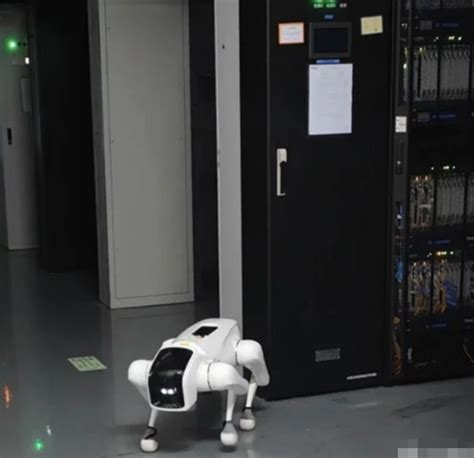 5G四足机器人“入职”中国电信核心机房：支持自主巡航360度旋转夜视_机器人网