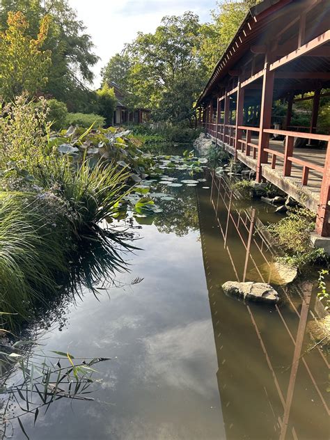 Gardens of France: Nantes - Dyck Arboretum