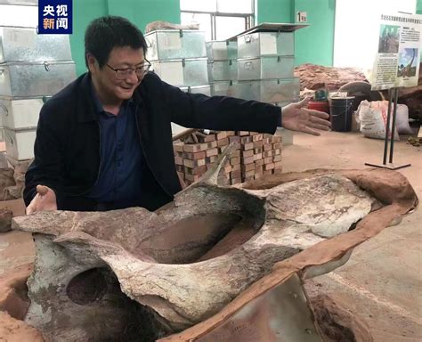 贵州发现完整恐龙化石：解开史前巨兽之谜 - 知乎