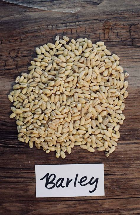 Farro vs Barley • The Incredible Bulks