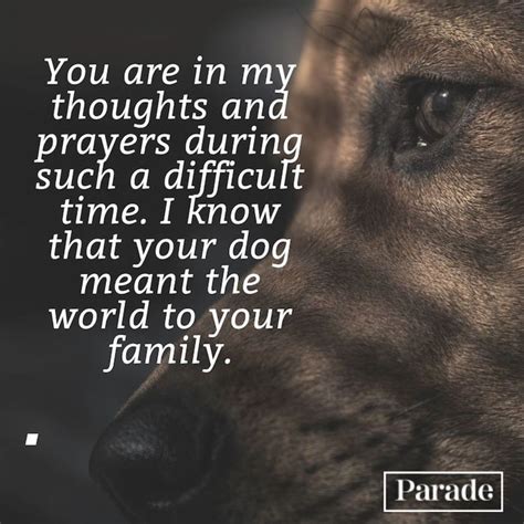 10 Quotes For Loss Of Dog
