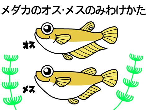 Image result for Example of Debugging Using Letters for Grade 2