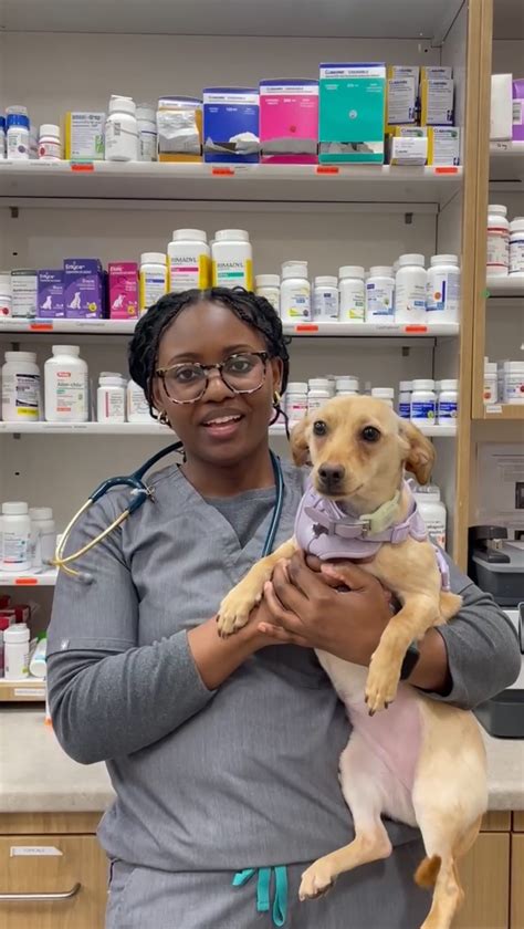 Wedgewood, Veterinary Compounding Pharmacy (@wedgewoodpetrx ...