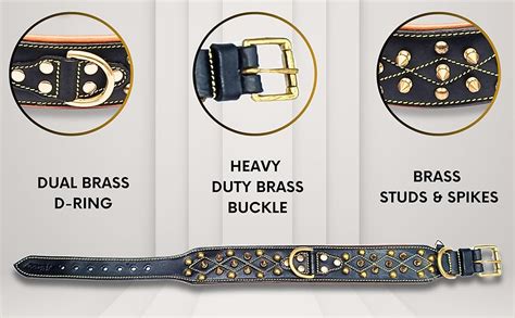 Buy Bruby Premium Leather Dog Collar with Soft Padding, Brass Studs ...