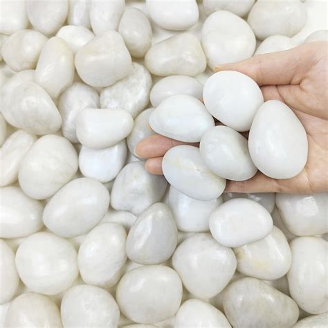 Amazon.com: FANTIAN 40 lbs Polished White River Rocks for Outdoor ...