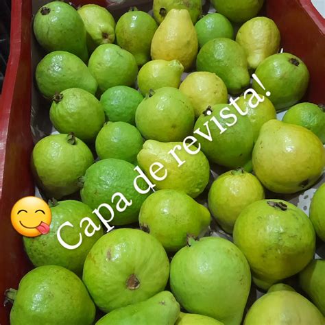 Joka frut+ (@jokafrut) • Instagram photos and videos