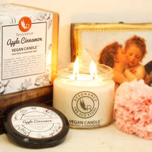 Resonance Apple Cinnamon Fragrance Natural Wax Aroma Candle with Double ...