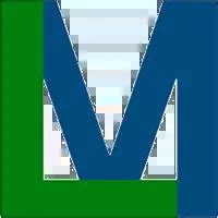 LiteManager Tutorial 的图像结果