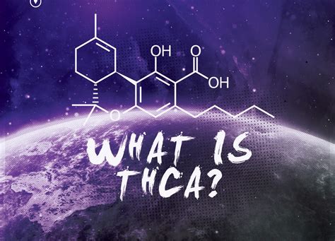 What is THCA and the benefits? - Hempie's