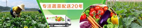 蔬菜中国 - 种植业