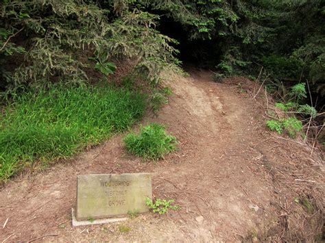 Strawberry Canyon and Claremont Canyon Hike (complete sequence)