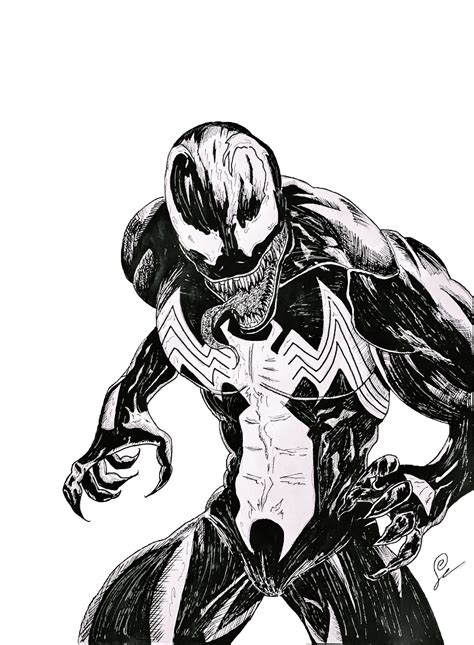 Venom Drawings Sketch Junkie