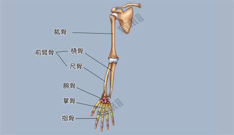 Image result for Difference in Difference Approach Example Diagram