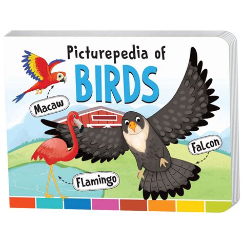 Picturepedia of Birds I Board Book for Kids Age 2+ I Bright & Colourful ...
