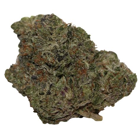 9lb Hammer | Indica | $220 Ounce Special | Premier Cannabis Delivery ...