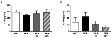 Dietary Supplementation with Silicon-Enriched Spirulina Improves ...